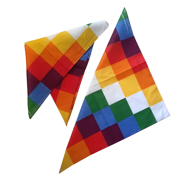 PA?OLETA 53X53 CM ORIGINARIOS X12 UNI - 1