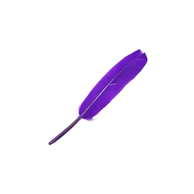 PLUMA 13CM MORADO X12UNI - 1