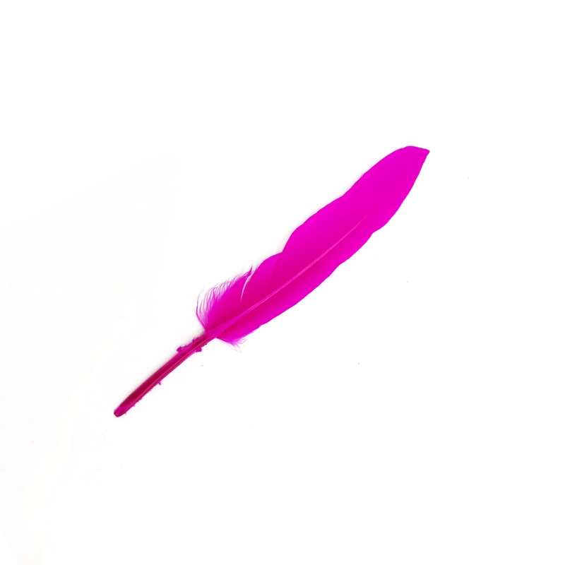 PLUMA 13CM FUCSIA X12UNI - 1