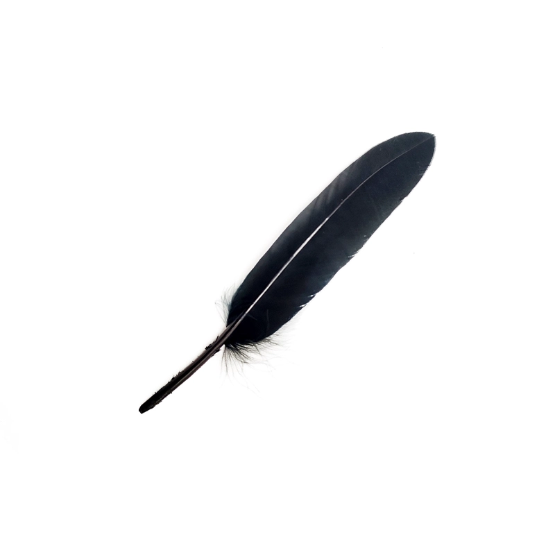PLUMA 13CM NEGRO X12UNI - 1