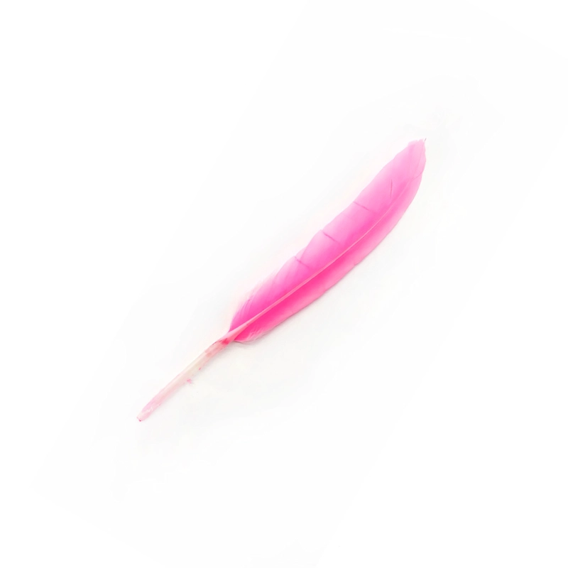PLUMA 13CM ROSADO X12UNI - 1