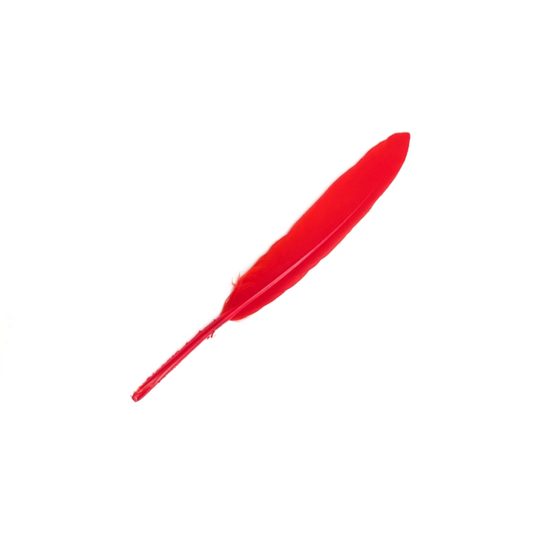 PLUMA 13CM ROJO X12UNI - 1