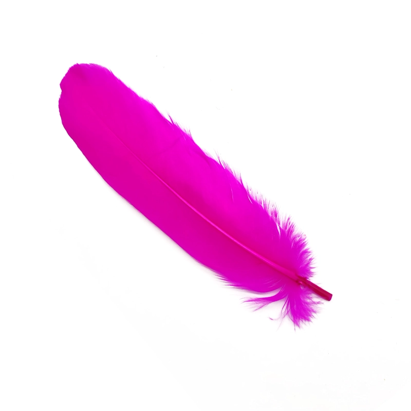PLUMA 17CM FUCSIA X12UNI - 1