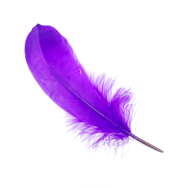 PLUMA 17CM MORADO X12UNI - 1
