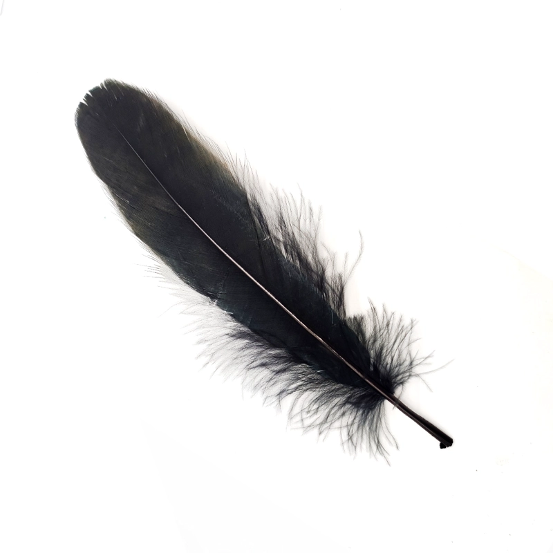 PLUMA 17CM NEGRO X12UNI - 1