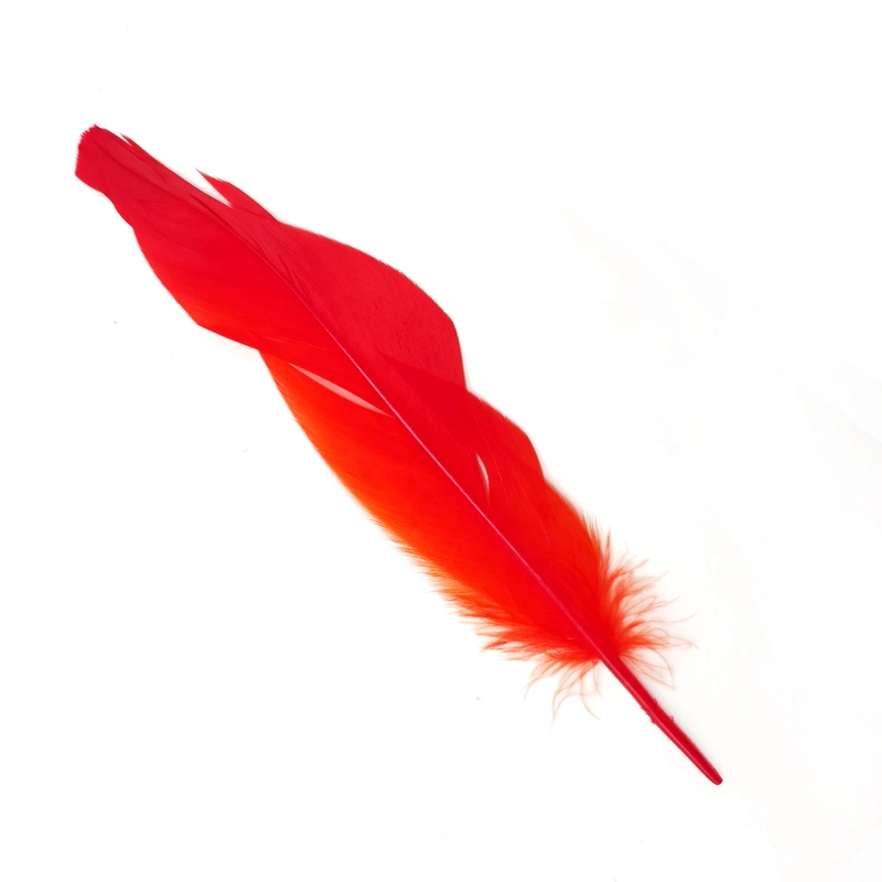 PLUMA 17CM ROJO X12UNI - 1