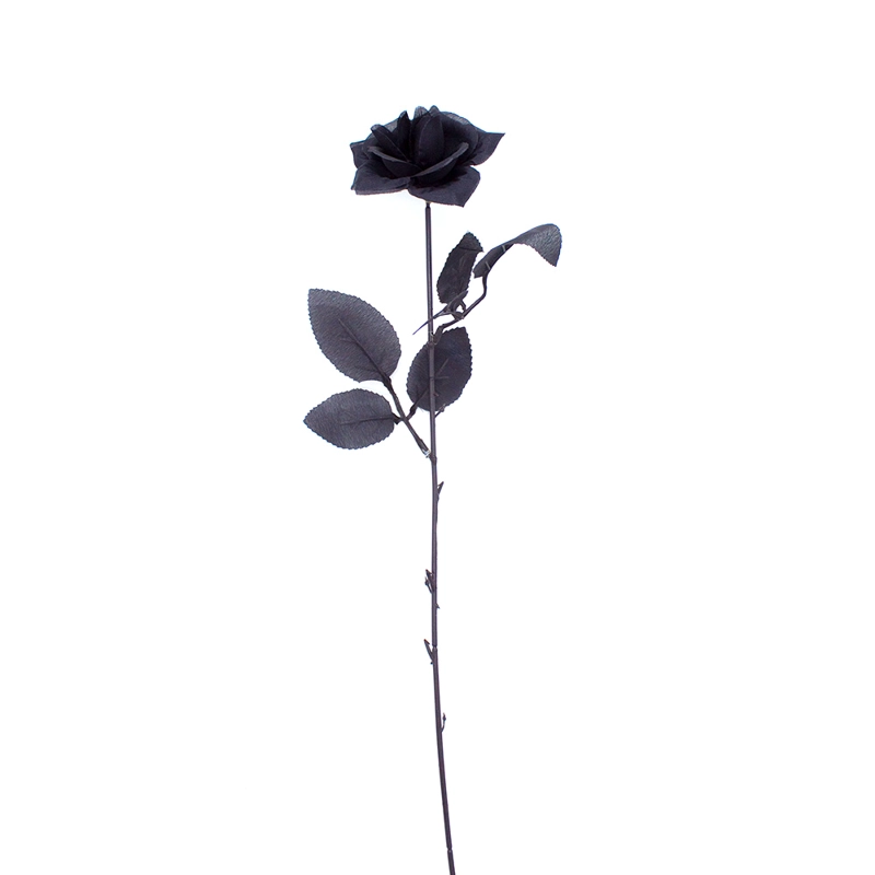ROSA NEGRA X1 UNI - 1