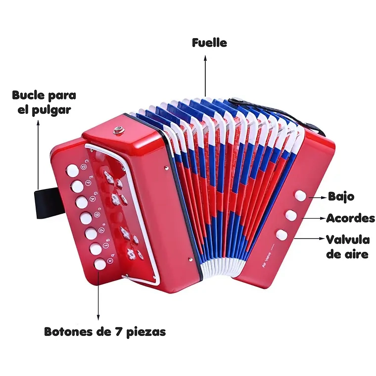 MINI ACORDEON DE JUGUETE PARA NIÑOS 7 NOTAS - 1