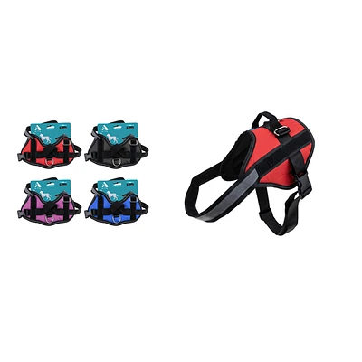 ARNE S S11 PARA MASCOTAS TALLA XL 30-40KG 80-95CM COLOR ALEATORIO - 2