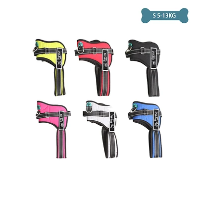 ARNE S K8 TALLA S 5-13KG COLOR ALEATORIO - 1