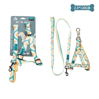 SET DE ARNE S Y CORREA DE NYLON 2.5CM*120CM - 1