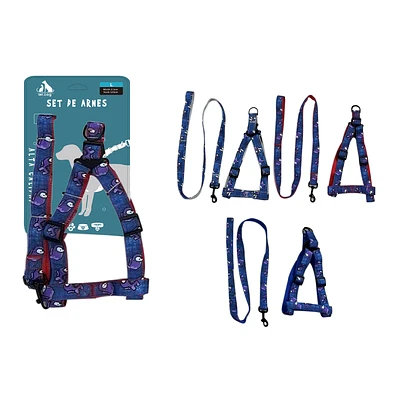 SET DE ARNE S STEP IN Y CORREA 2.5CM COLOR ALEATORIO - 1