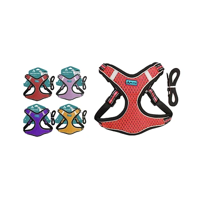 SET DE ARNE S Y CORREA TALLA M COLOR ALEATORIO - 1