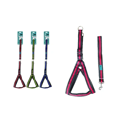 SET DE ARNE S CON CORREA 2.0CM COLOR ALEATORIO - 1