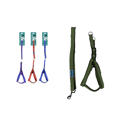SET DE ARNE S CON CORREA 2.5CM COLOR ALEATORIO - 1