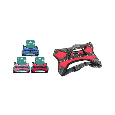 ARNE S PARA MASCOTAS TALLA S COLOR ALEATORIO - 1