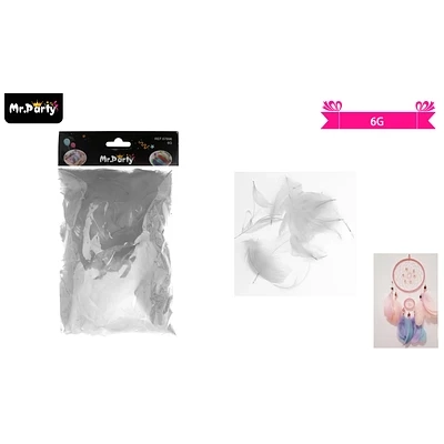 PLUMAS DECORATIVAS BLANCO 6G - 1