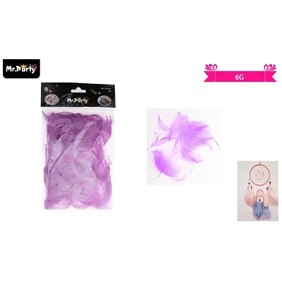 PLUMAS DECORATIVAS LILA 6G - 1