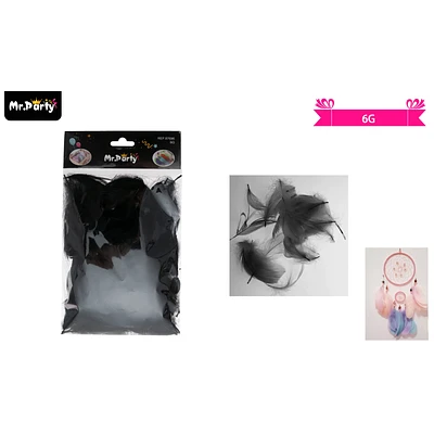 PLUMAS DECORATIVAS NEGRO 6G - 1