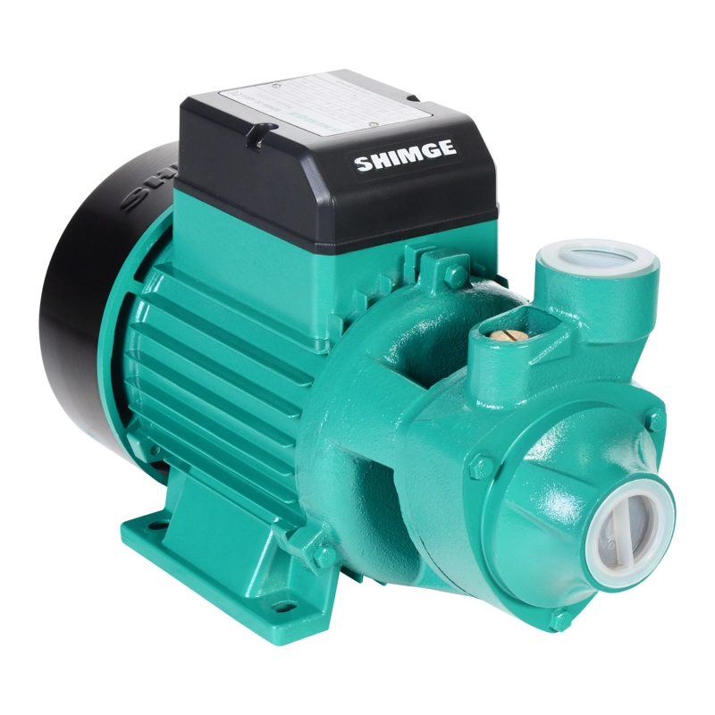 BOMBA DE AGUA PERIFÉRICA QB80G | 1 HP | 60 l/min | SHIMGE | 220V 50hz - 1