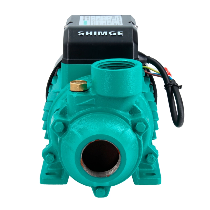 BOMBA DE AGUA PERIFÉRICA QB80G | 1 HP | 60 l/min | SHIMGE | 220V 50hz - 6