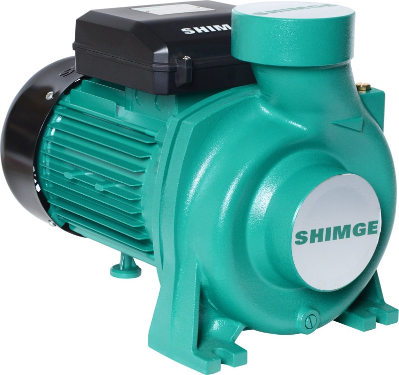 BOMBA CENTRIFUGA GRAN CAUDAL SHIMGE SHFM6B 2HP - 1