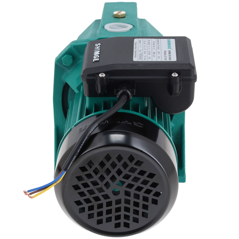 BOMBA CENTRIFUGA AUTOCEBANTE SHIMGE JET100P 1HP - 11