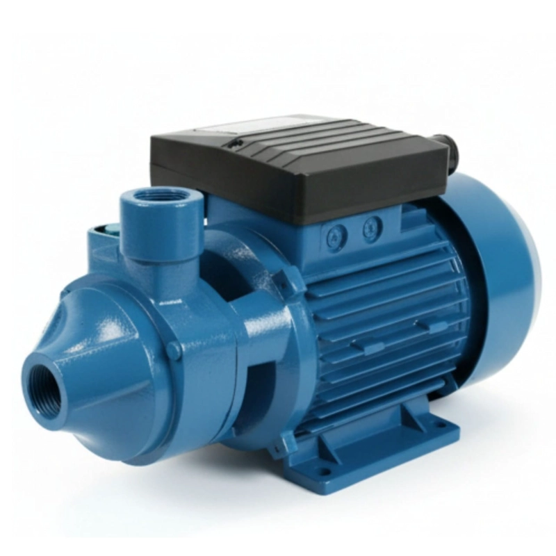 BOMBA DE AGUA PERIFÉRICA | PROPUMPS/EDR | QB60L | 0.5 HP | 33 L/MIN | 220V 50HZ - 1