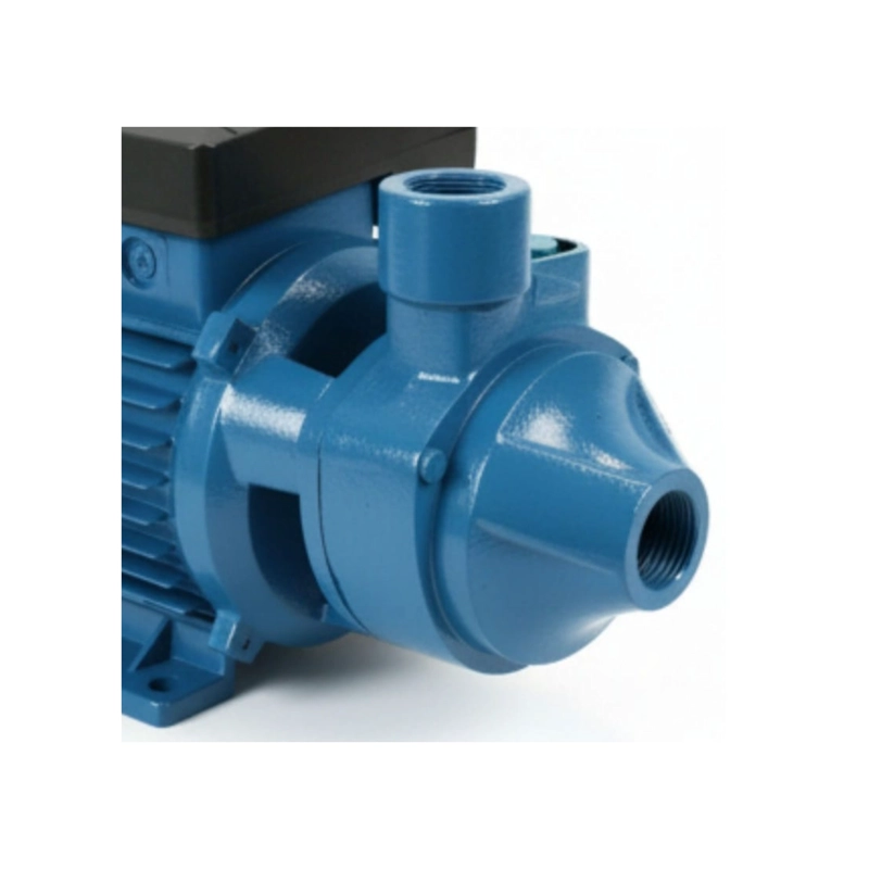 BOMBA DE AGUA PERIFÉRICA | PROPUMPS/EDR | QB60L | 0.5 HP | 33 L/MIN | 220V 50HZ - 3