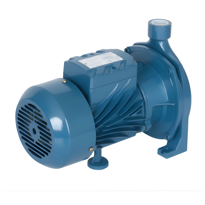 BOMBA DE AGUA CENTRÍFUGA | PROPUMPS/EDR | CPM158 | 1 HP | 100 L/MIN | 220V 50HZ - 5