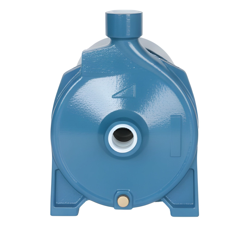 BOMBA DE AGUA CENTRÍFUGA | PROPUMPS/EDR | CPM158 | 1 HP | 100 L/MIN | 220V 50HZ - 6