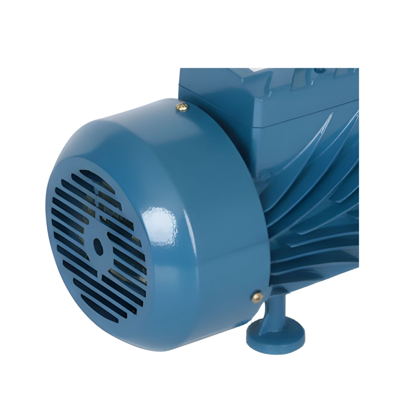 BOMBA DE AGUA CENTRÍFUGA | PROPUMPS/EDR | CPM158 | 1 HP | 100 L/MIN | 220V 50HZ - 7