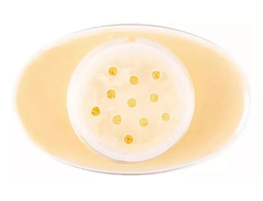 POLVO SUELTO BANANA SETING POWDER - 3