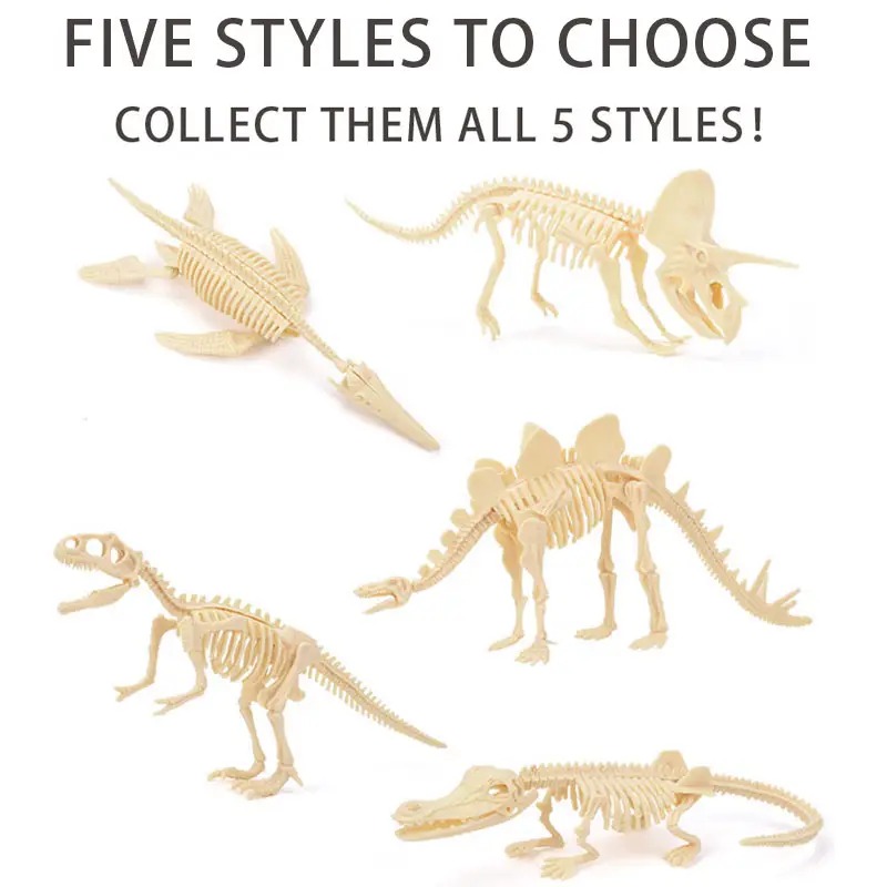 JURÁSICO ANIMAL DINOSAURIO ESQUELETO FÓSIL SET DE 5 PCS - 2