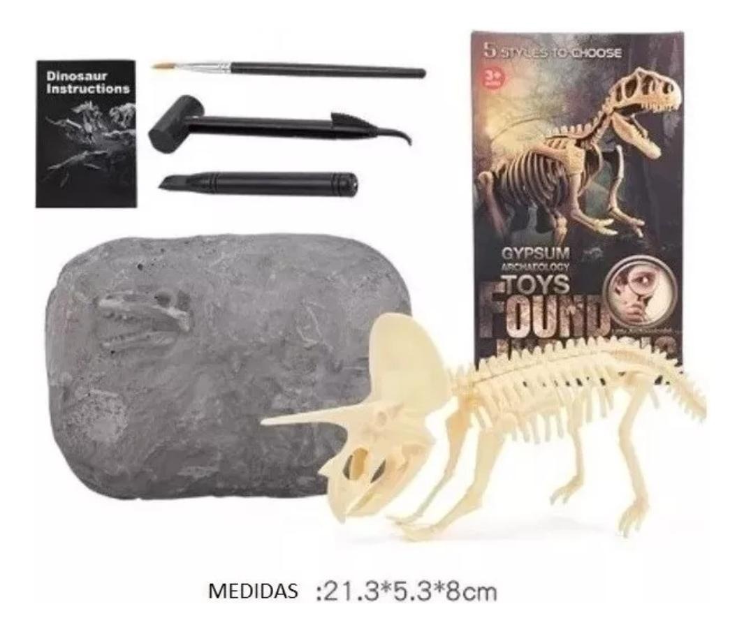 JURÁSICO ANIMAL DINOSAURIO ESQUELETO FÓSIL SET DE 5 PCS - 3