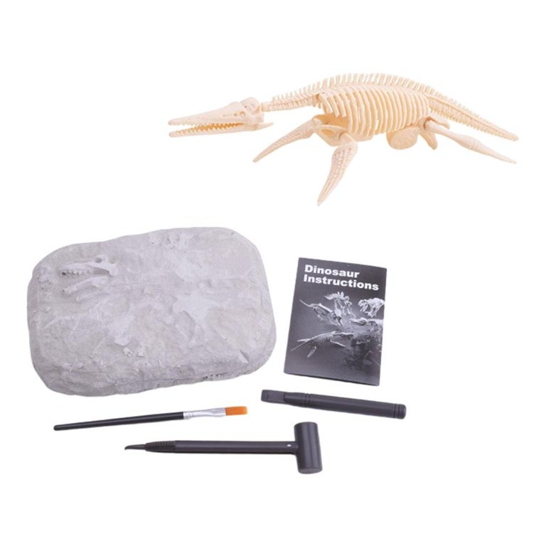 JURÁSICO ANIMAL DINOSAURIO ESQUELETO FÓSIL SET DE 5 PCS - 4