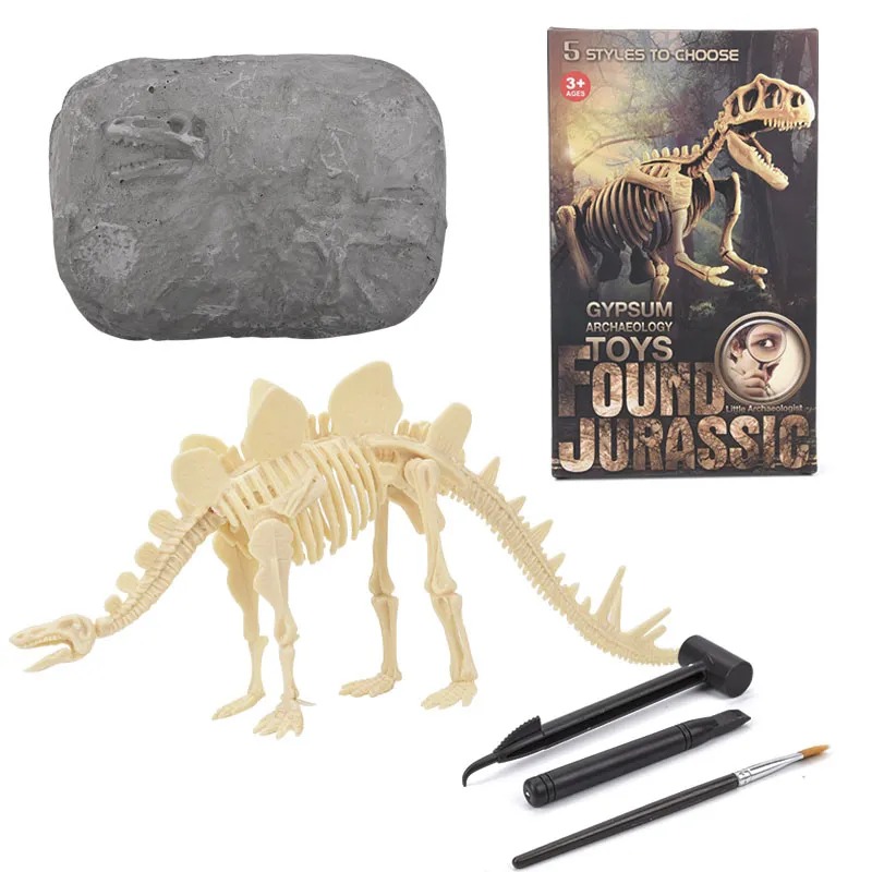 JURÁSICO ANIMAL DINOSAURIO ESQUELETO FÓSIL SET DE 5 PCS - 5
