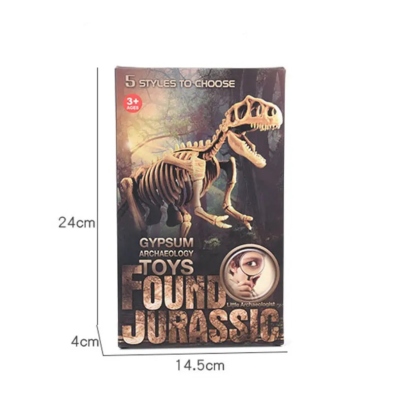 JURÁSICO ANIMAL DINOSAURIO ESQUELETO FÓSIL SET DE 5 PCS - 6