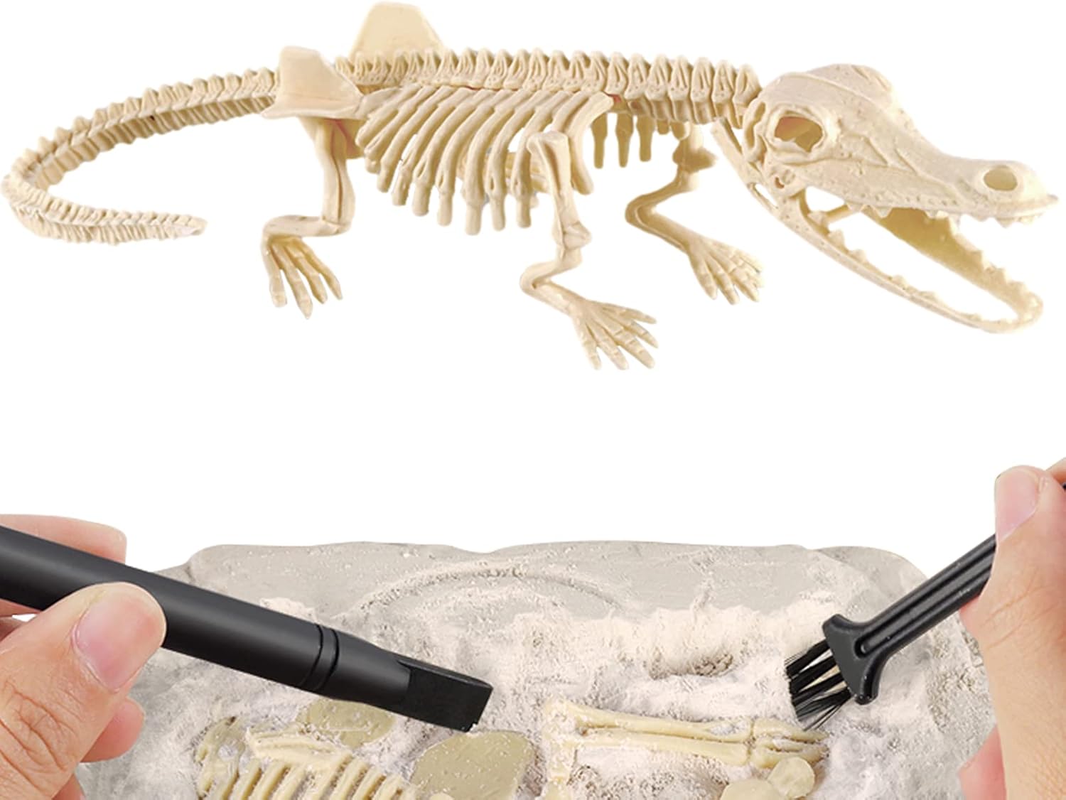 JURÁSICO ANIMAL DINOSAURIO ESQUELETO FÓSIL SET DE 6 PCS - 3
