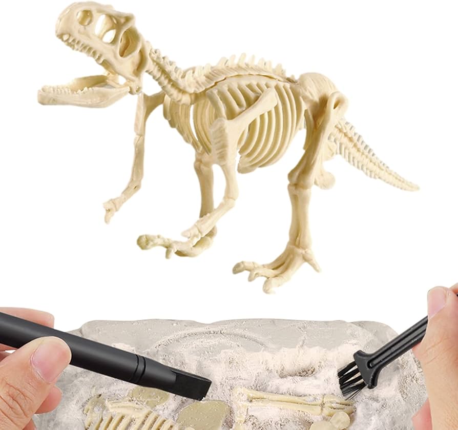 JURÁSICO ANIMAL DINOSAURIO ESQUELETO FÓSIL SET DE 6 PCS - 5