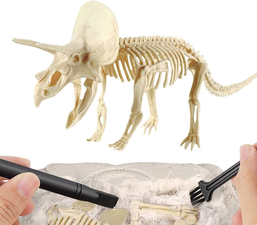 JURÁSICO ANIMAL DINOSAURIO ESQUELETO FÓSIL SET DE 6 PCS - 6