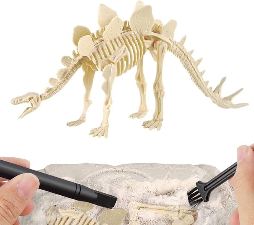 JURÁSICO ANIMAL DINOSAURIO ESQUELETO FÓSIL SET DE 6 PCS - 7