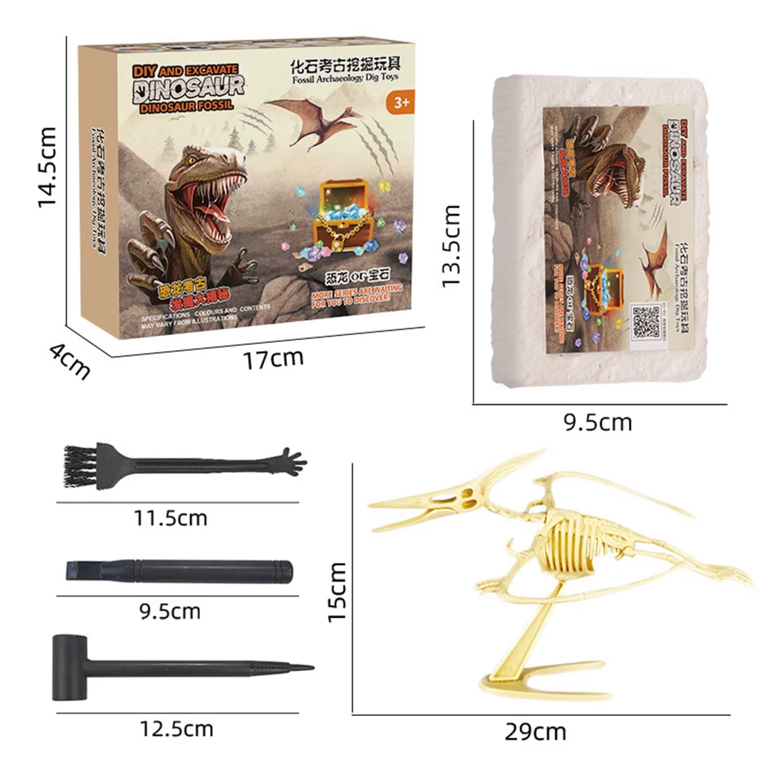 JURÁSICO ANIMAL DINOSAURIO ESQUELETO FÓSIL SET DE 6 PCS - 8