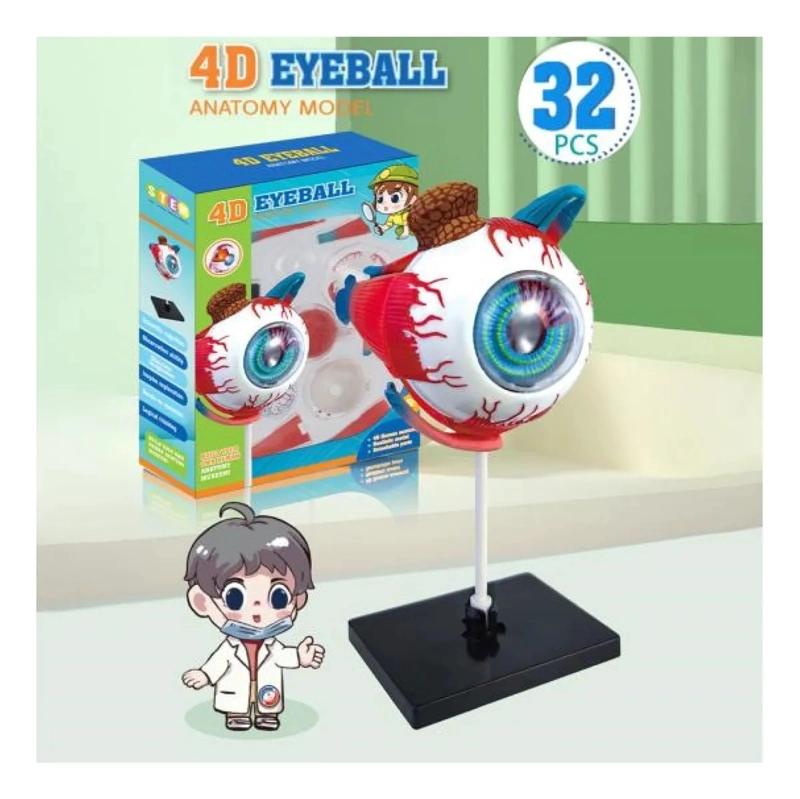OJO 4D DIDACTICO GLOBO OCULAR ROMPECABEZAS PUZZLE 32 PIEZAS - 1