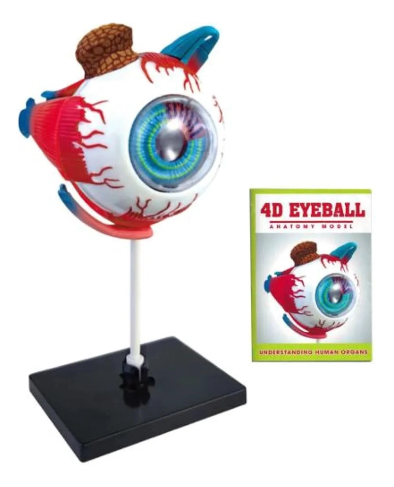 OJO 4D DIDACTICO GLOBO OCULAR ROMPECABEZAS PUZZLE 32 PIEZAS - 2