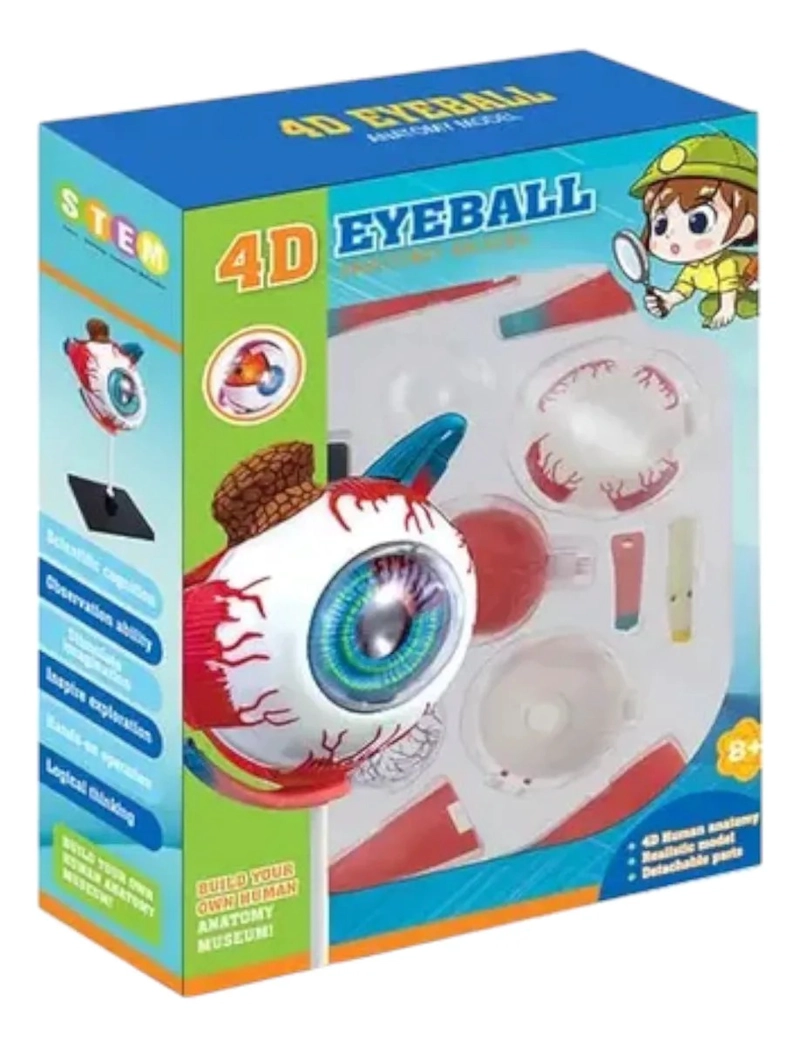 OJO 4D DIDACTICO GLOBO OCULAR ROMPECABEZAS PUZZLE 32 PIEZAS - 3