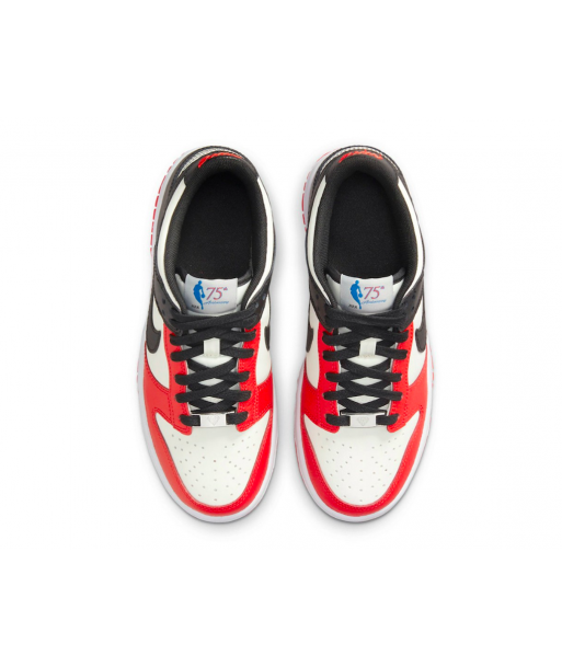 ZAPATILLAS NIKE DUNK LOW X NBA CHICAGO JUVENIL - 3
