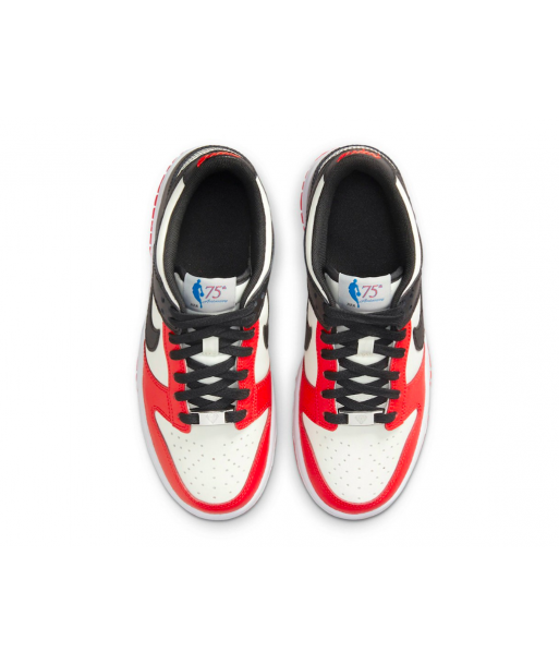 ZAPATILLAS NIKE DUNK LOW X NBA CHICAGO JUVENIL - 3