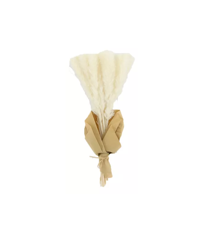 RAMO FLORES PAMPAS EN COLOR EN COLOR BLANCO NATURAL - 1