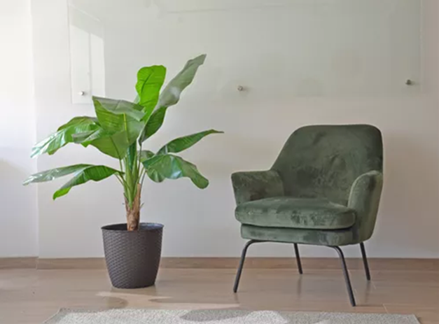 PLANTA ARTIFICIAL BANANO 120CM LUXURY 12 HJS / ARBUSTO REAL - 3